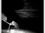 Fotoblog alkopoligamia2010