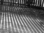 Fotoblog arcanosilenzio