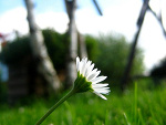 Fotoblog syllwii