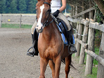Fotoblog anhelo
