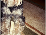 Fotoblog malinoweflow