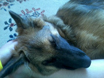 Fotoblog lovestory1414