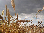 Fotoblog mariolcka09