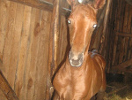 Fotoblog inaccessiible