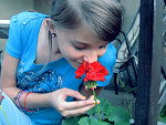 Fotoblog vdvk