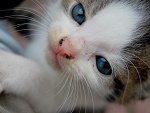 Fotoblog deadlyfast