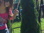 Fotoblog entalianna