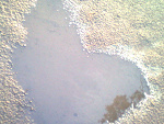 Fotoblog agamarta