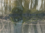 Fotoblog moniula255