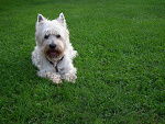 Fotoblog swetty1