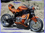 Fotoblog gacek125
