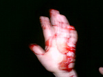 Fotoblog darekkupbrowara