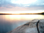 Fotoblog thecokesideoflife