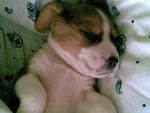 Fotoblog bloodymartyna
