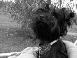 Fotoblog urodzona14pazdzierniiika