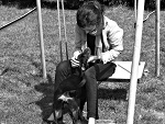 Fotoblog madzik6732