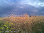 Fotoblog tuskaffka007