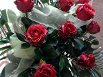 Fotoblog donia14