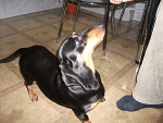 Fotoblog stempek96