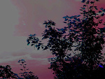 Fotoblog rainbowwx