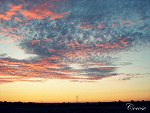 Fotoblog cocose