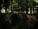 Fotoblog grish