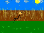 Fotoblog adrianesku1