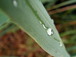 Fotoblog apacuka