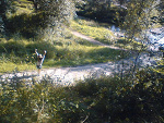 Fotoblog sara49