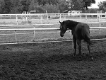 Fotoblog juliaalex