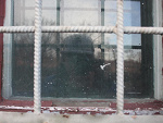 Fotoblog meandmyfullcap