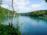 Fotoblog jacakoro