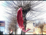 Fotoblog chocorreto