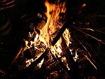 Fotoblog perka