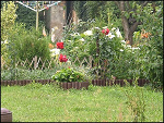 Fotoblog vivienne2