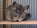 Fotoblog zaangazowana
