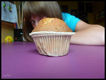 Fotoblog snajperova
