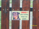 Fotoblog honda2a1314