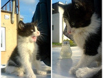 Fotoblog iamnotyourangel