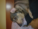 Fotoblog 4everyoung1
