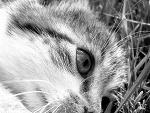 Fotoblog wrocimytujeszcze