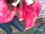 Fotoblog kadull