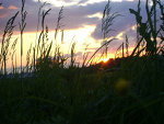 Fotoblog mojtworcze