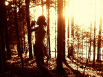 Fotoblog livesonceuse