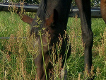 Fotoblog inmyotherworld