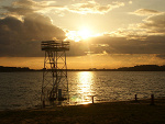 Fotoblog tolip