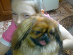 Fotoblog anka11