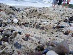 Fotoblog gmoonshine