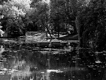 Fotoblog aiguillon