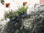 Fotoblog xd19xd